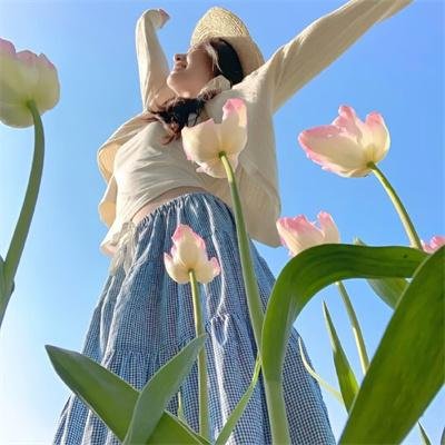芝士火腿